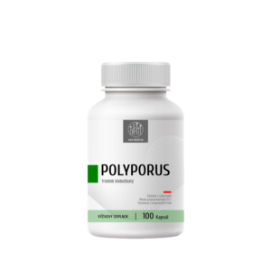 Trúdnik klobúčkatý – POLYPORUS kapsuly, 100 kapsúl